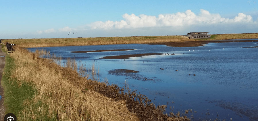 Lagoons, reedbeds and a birdwatching hide at RSPB Titchwell Marsh